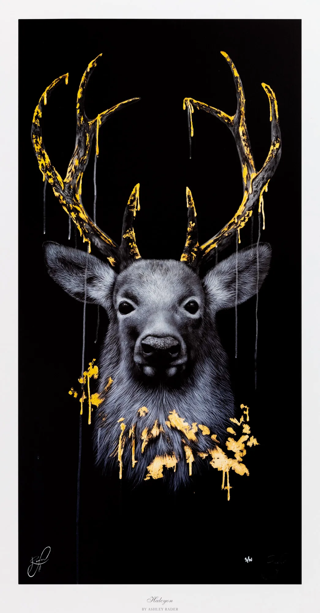 Ashley Rader (American, b.1990), Halcyon