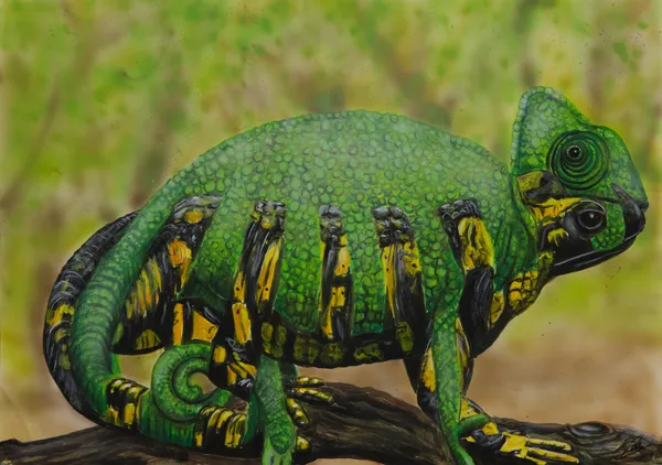 Cee Pil (Belgian, b.1977), Chameleonlizzard